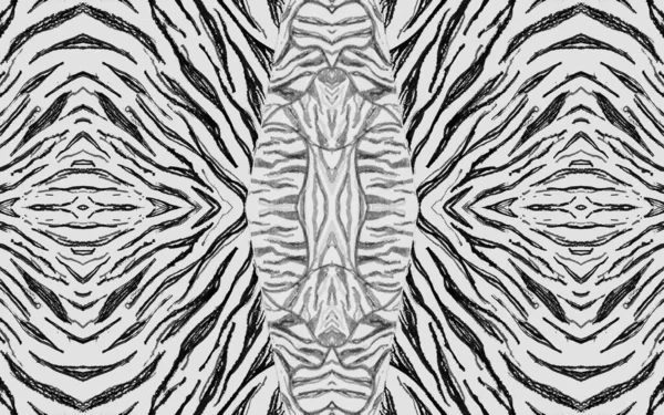 Linhas Zebra sem costura. Textura africana abstrata. — Fotografia de Stock