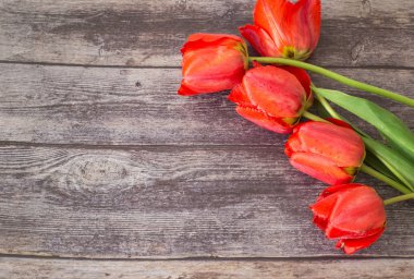 Yazıtın altında bir yer ile ahşap bir arka plan üzerinde yatan laleler