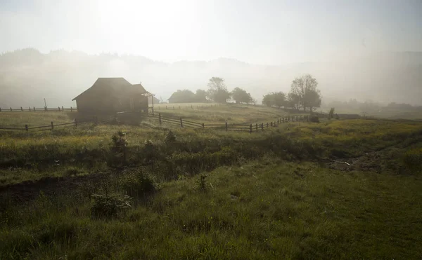 Aamulla Lähellä Taloa Korkealla Vuoristolaaksossa Karpaatit Ukraina — kuvapankkivalokuva