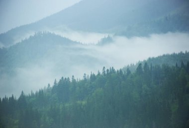 Karpatlar, Ukrayna dağların yamaçlarında Sabah öncesi parlak sis