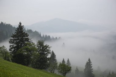 Karpatlar, Ukrayna dağların yamaçlarında Sabah öncesi parlak sis