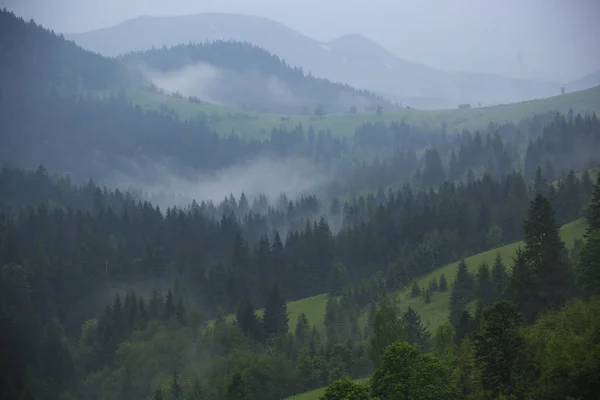 Karpatlar, Ukrayna dağların yamaçlarında Sabah öncesi parlak sis