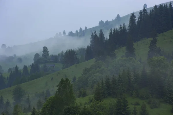 Karpatlar, Ukrayna dağların yamaçlarında Sabah öncesi parlak sis