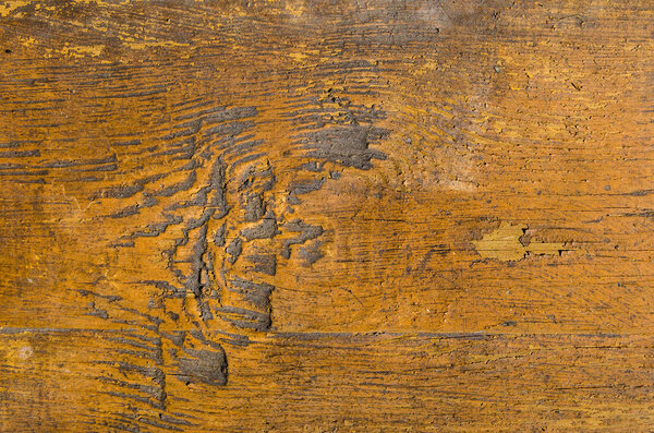 Текстура дерева с желтой трещиной краски
