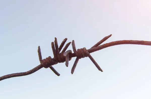 Barbed wire on the sky background