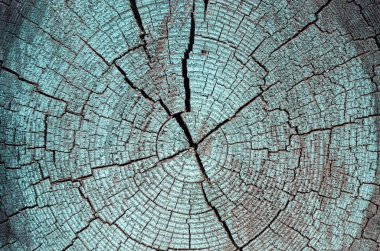 Sarı paslı metal doku