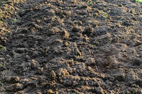 Zwarte Vruchtbare Grond Textuur — Stockfoto