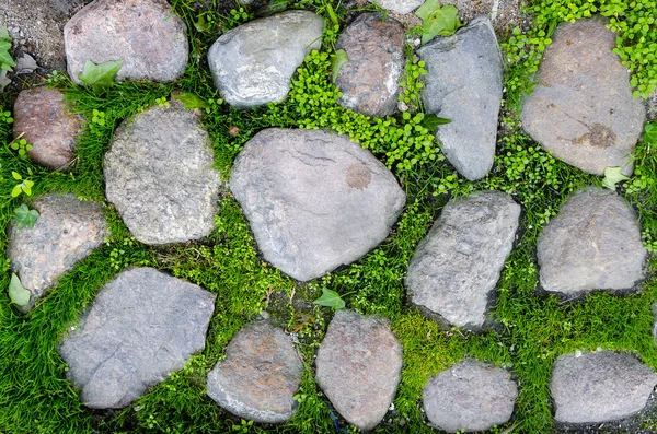 Fragment Der Alten Straße Mit Gras Gepflastert — Stockfoto