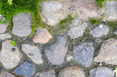 Çim ile döşeli eski yolun parçası