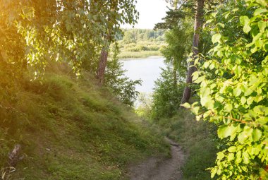 Orman yolu nehre iniyor.