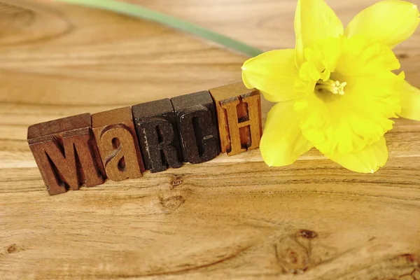 Ay Mart - Tipo harfler