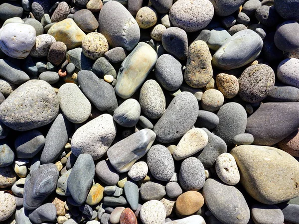 Pebbles Background — Stock Photo, Image