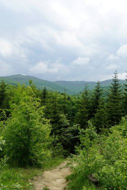 Bieszczady Dağları'nda yürüyüş parkuru, Polonya
