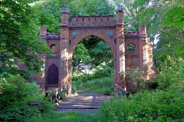 Neo-Gotik Kapı — Stok fotoğraf