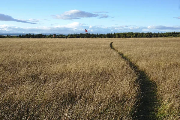 Culloden поле бою Стокове Зображення