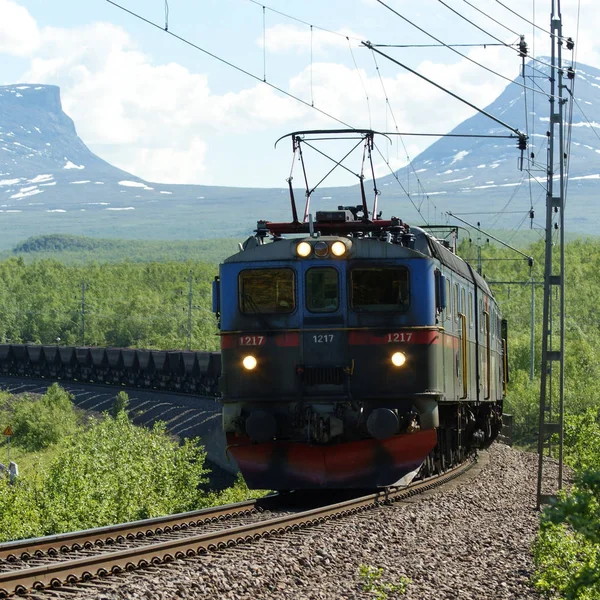 Vista Tren Que Viaja Través Del Campo Verde Con Montaña — Foto de Stock