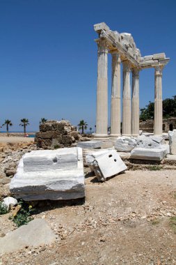 Ağaçların arkasında ile antik taş sütunlar