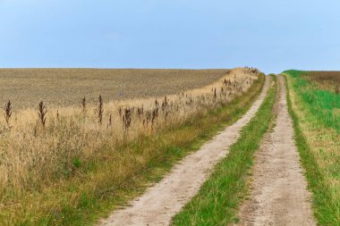 Güzel alan ve arka planda gökyüzü ile kırsal manzara 