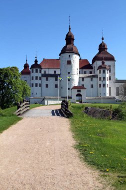 Bayrakları önünde Ortaçağ Kalesi, İsveç 