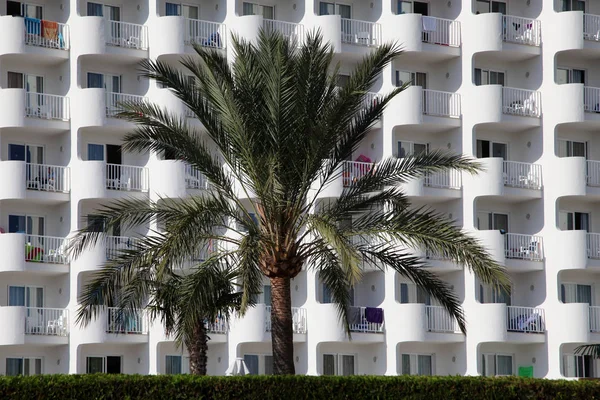 Palm tree in front of hotel building in Alcudia, Spain