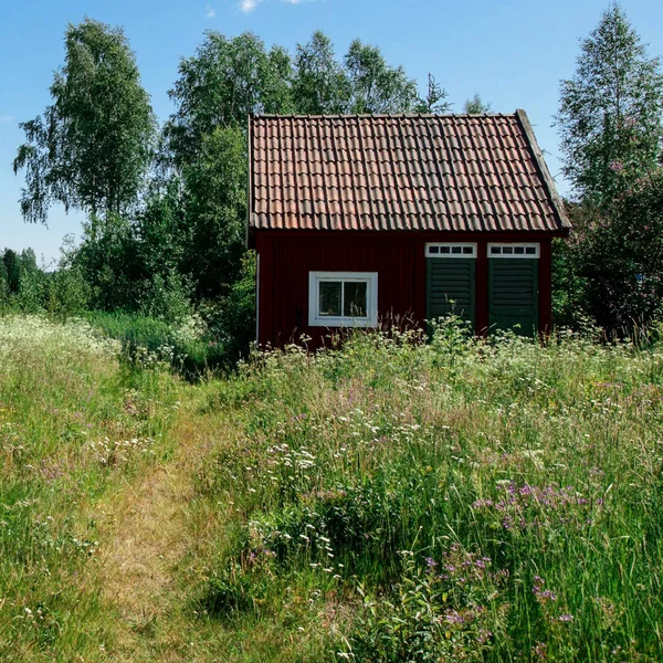 Rural Scene Living House Trees — Stock Photo, Image