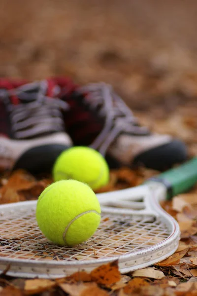 selective focus of tennis balls on ground with fallen autumn leaves