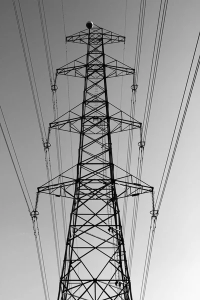 Black and white picture of power lines