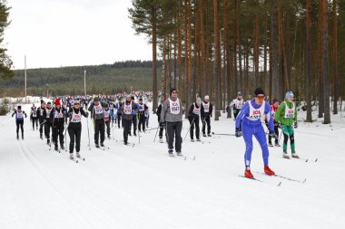 Isveç 'te Vasaloppet yarışmasına binmek skiers