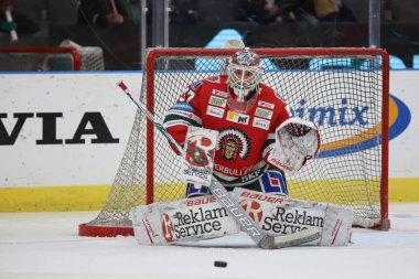 Göteborg, Isveç-30 Aralık 2018-Frolunda ve Rogle arasında Isveçli hokey ligi maçı 