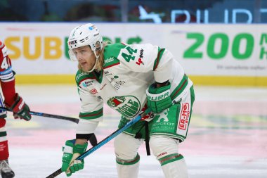 Göteborg, Isveç-30 Aralık 2018-Frolunda ve Rogle arasında Isveçli hokey ligi maçı 