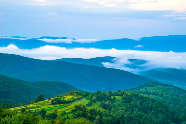 雾和天空中的树木和高山上的绿色草地 喀尔巴阡山脉美丽的风景 — 图库照片
