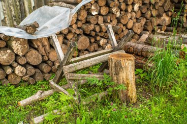 Kış için ağaçların hazırlanması. Yuvarlak kereste. Köyde çalış..