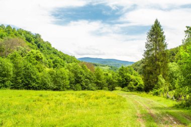 Yeşil ağaçlar ve dağlardan oluşan bir arka planda, kırsal alanda pahalı arazileri olan eski bir ev. Güzel manzara.