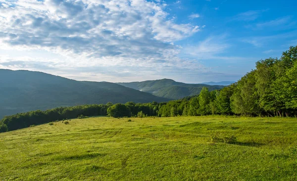 Een Groene Weide Met Bomen Bergen Mist Een Heldere Hemel — Stockfoto