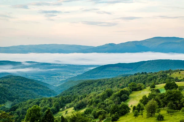 Manhã Nas Montanhas Verdes Nevoeiro Bela Paisagem Verão Nas Montanhas — Fotografia de Stock