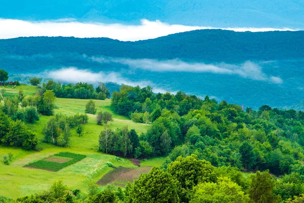 Manhã Nas Montanhas Verdes Nevoeiro Bela Paisagem Verão Nas Montanhas — Fotografia de Stock