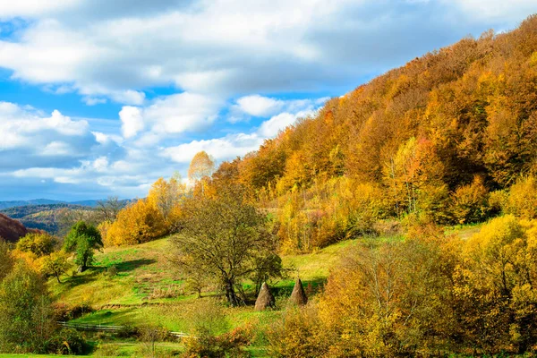 Podzimní Krajina Podzimní Hory Stromy Žlutými Červenými Listy — Stock fotografie