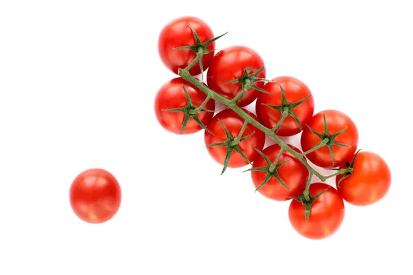 Kleine Rote Tomaten Auf Einem Zweig Auf Weißem Hintergrund Kirschtomaten — Stockfoto