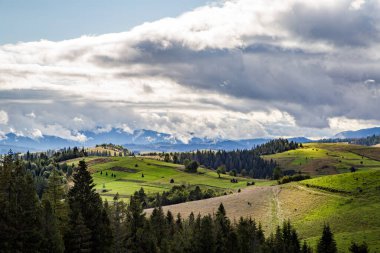Ormanlar ve güzel bulutları olan ormanlar. dağ tepeleri