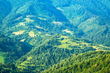 Dağlardaki ormanlar. Temiz hava kavramı
