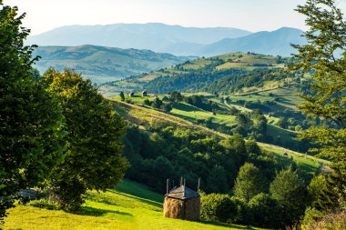 Sabahları mavi bir gökyüzünün altında, dağlarda yeşil bir çimenlikte saman yığını. Kırsal bir vadinin yaz manzarası.