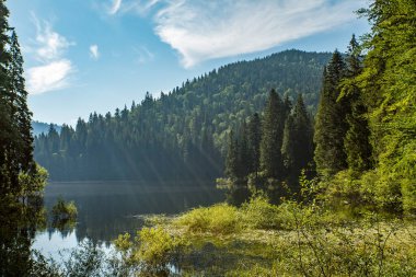 Göl kenarındaki kozalaklı orman, dağlar ve bulutlu mavi gökyüzü. Synevir Karpatlar.