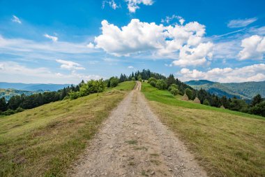 Dağ sırtından ormana giden eski yol..