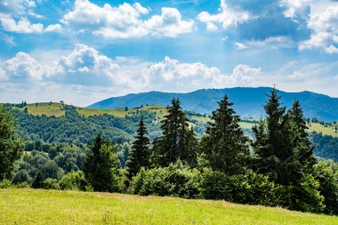 Ormanın yakınındaki dağdaki çayır. Beyaz bulutlu mavi gökyüzü. Yılın yaz zamanı..