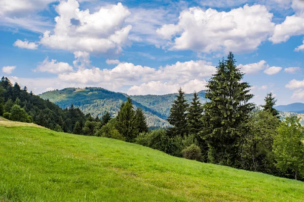 Grønn Lysning Bakgrunn Grønn Barskog Fjell Blå Himmel Med Hvite – stockfoto