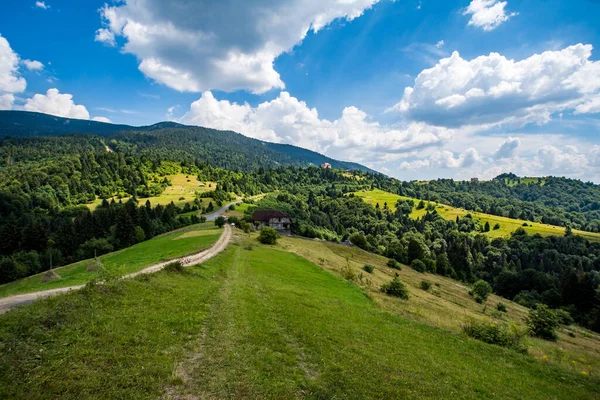 Hochgebirge Nadelwald Und Herrliches Panorama Saubere Umwelt Ländlicher Raum — Stockfoto