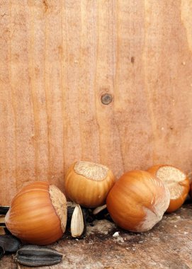 fındık ile natürmort