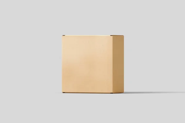 Realistic Craft Brown Blank Cardboard Box Mock Isolated Light Gray — Stock Photo, Image