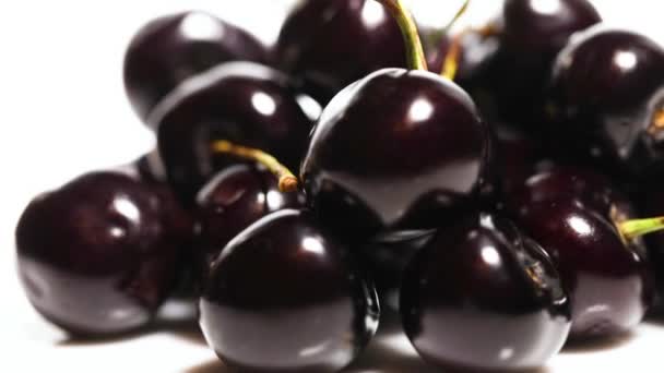 Fresh Ripe Cherry Close Rotated Organic Black Cherries Isolated White — Stock Video