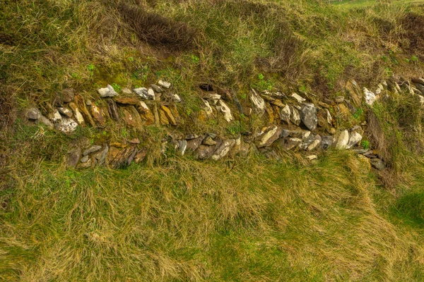 Grama Irlandesa Parede Pedra Dingle Peninsula — Fotografia de Stock